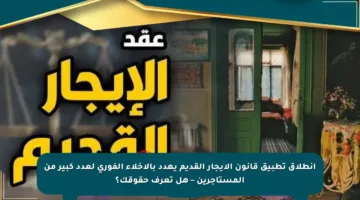انطلاق تطبيق قانون الإيجار القديم يهدد بالإخلاء الفوري لعدد كبير من المستأجرين – هل تعرف حقوقك؟